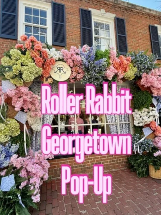 LIMITED EDITION Roller Rabbit GEORGETOWN MONKEY POLO PAJAMAS NWT SMALL OR MEDIUM - Picture 12 of 13